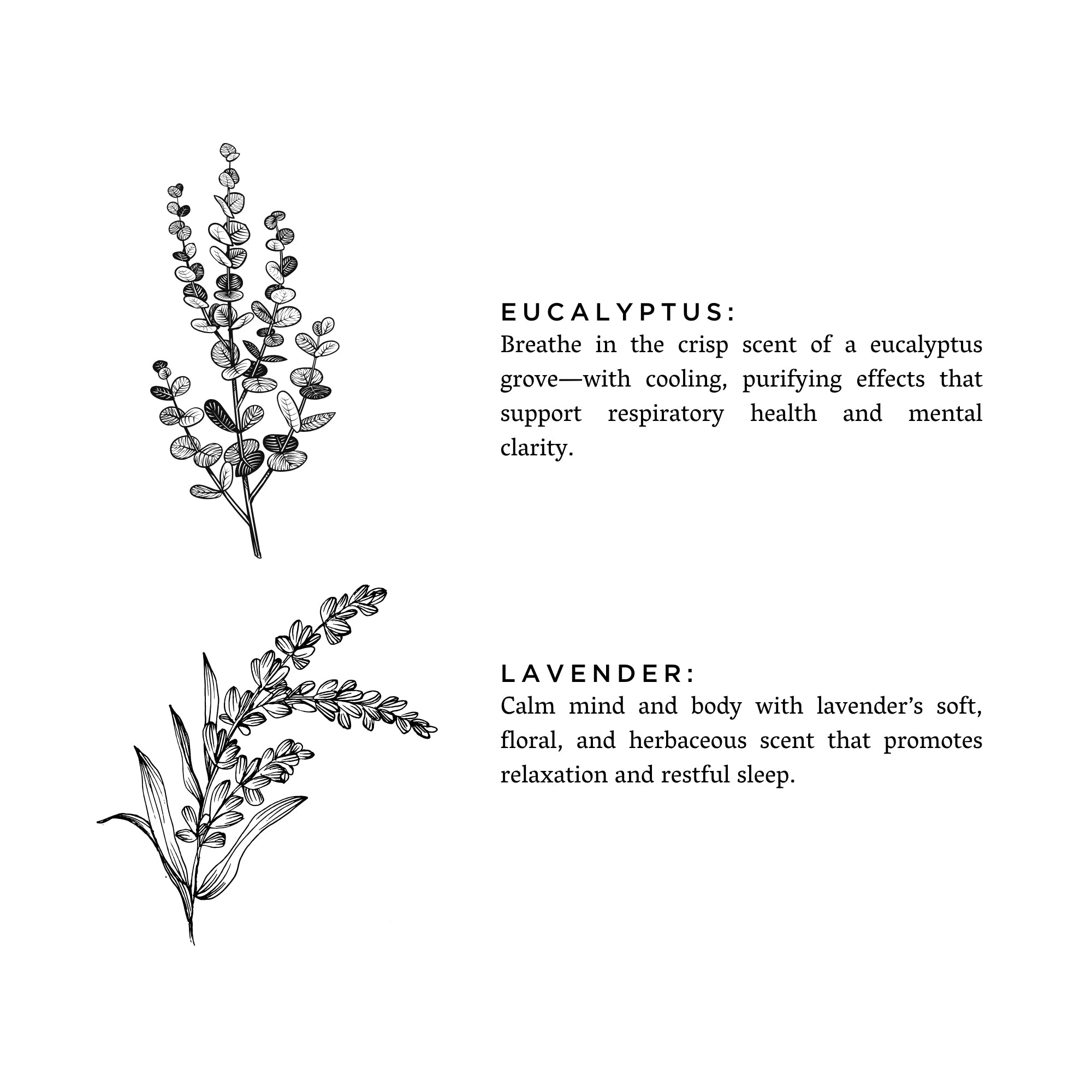 Eucalipto + Lavanda - Vela distintiva
